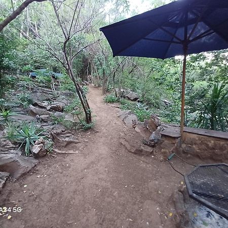 Adorable Unique Guest House - African Bush Feel Kalkheuvel Экстерьер фото