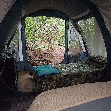 Adorable Unique Guest House - African Bush Feel Kalkheuvel Экстерьер фото