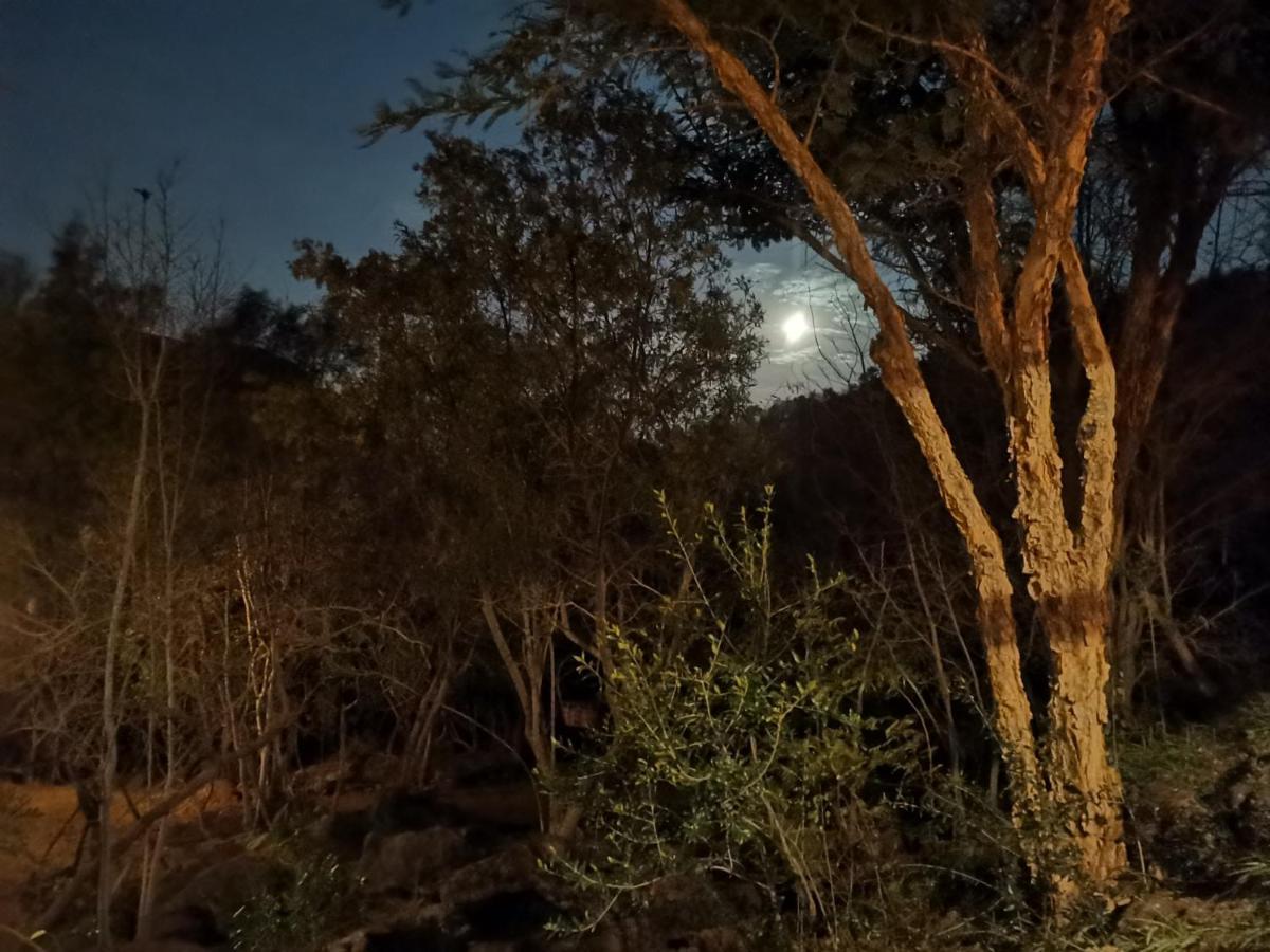 Adorable Unique Guest House - African Bush Feel Kalkheuvel Экстерьер фото