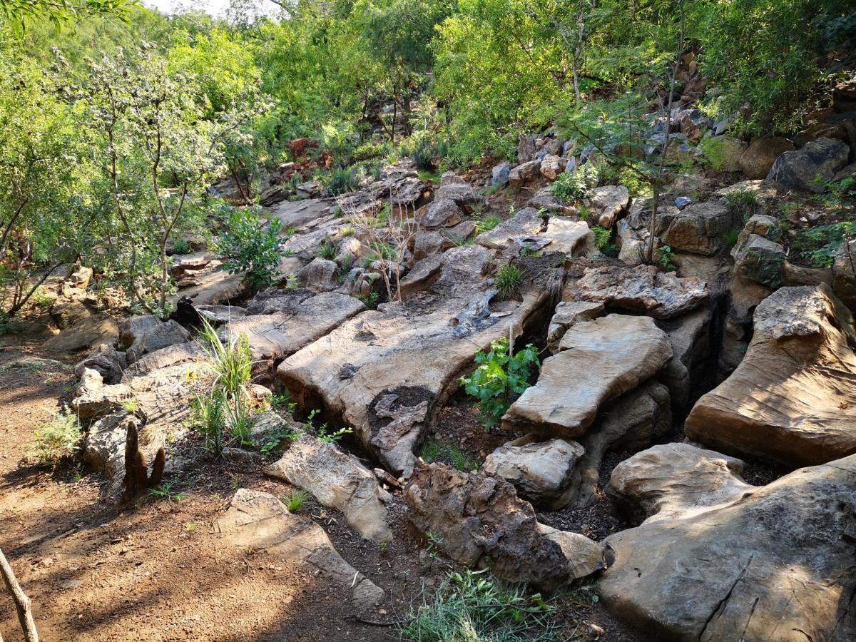 Adorable Unique Guest House - African Bush Feel Kalkheuvel Экстерьер фото
