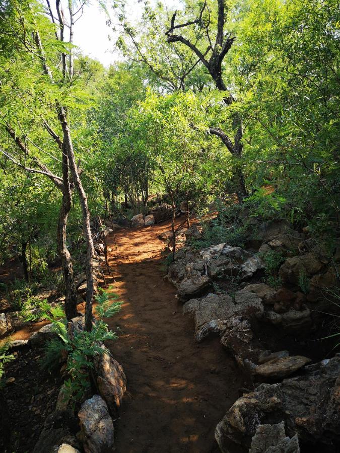 Adorable Unique Guest House - African Bush Feel Kalkheuvel Экстерьер фото