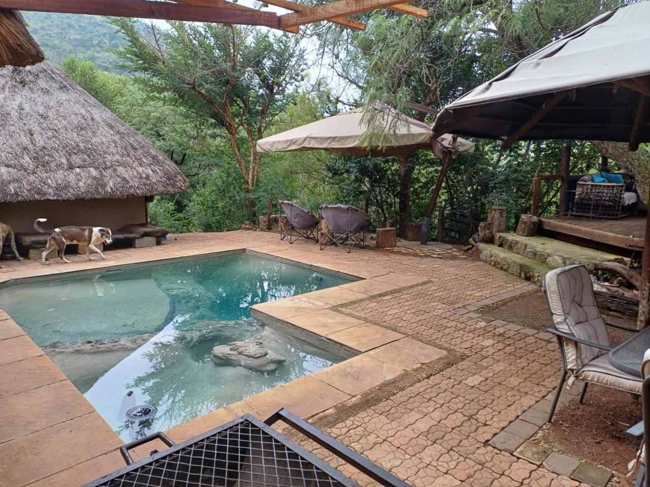 Adorable Unique Guest House - African Bush Feel Kalkheuvel Экстерьер фото