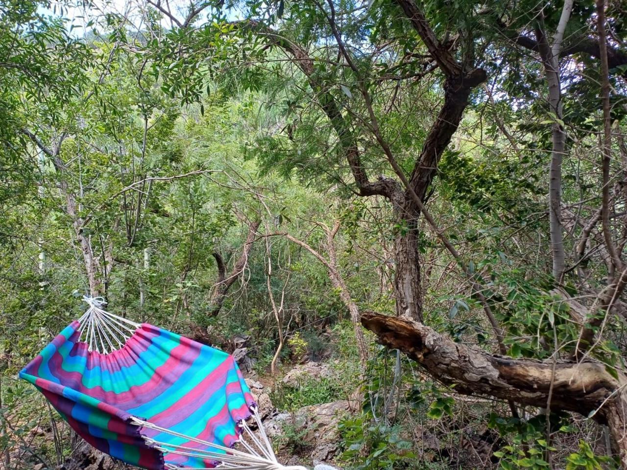 Adorable Unique Guest House - African Bush Feel Kalkheuvel Экстерьер фото